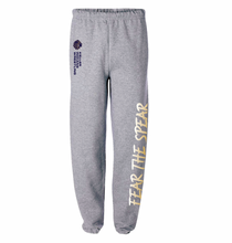 Load image into Gallery viewer, FTS Sweatpant in Grey Htr